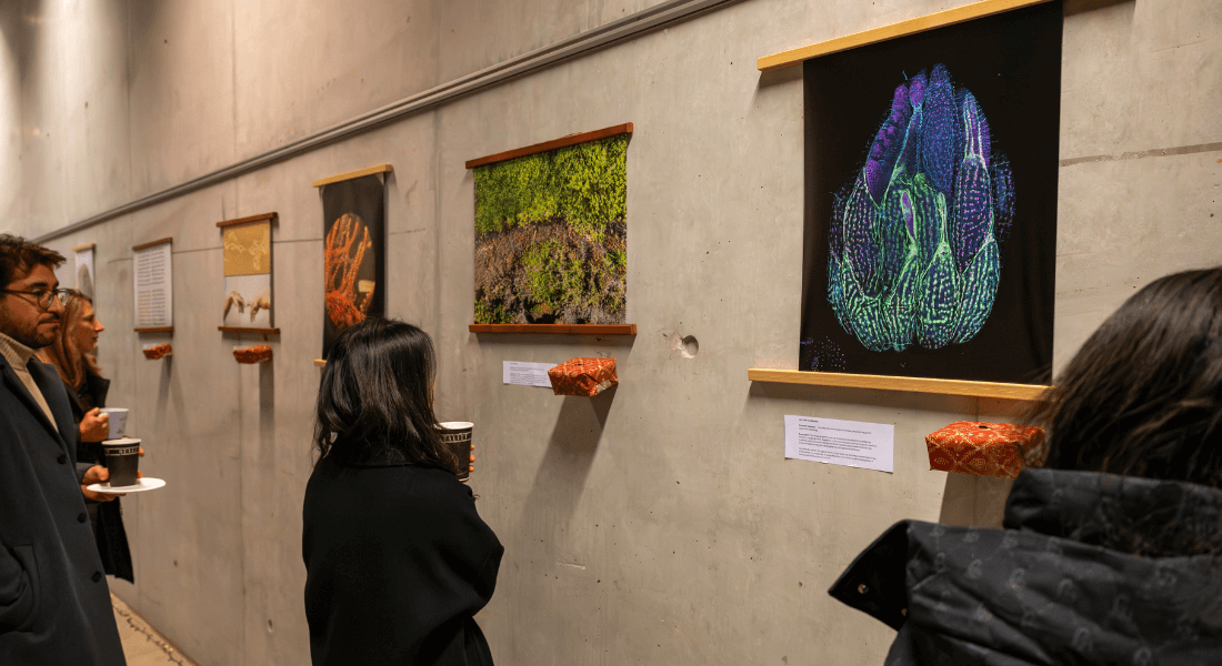 Person looking at art at the Art Science competition and exhibition in 2024