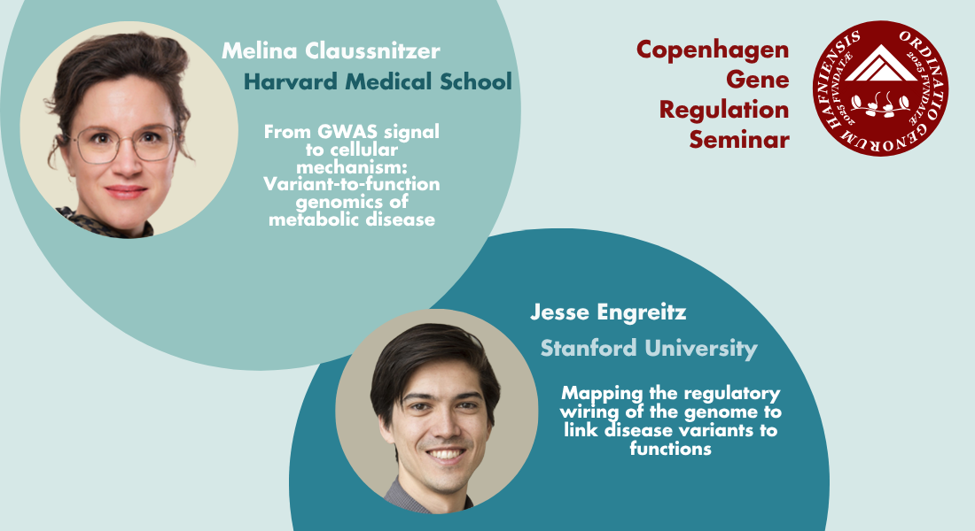 Copenhagen Gene Regulation Seminar - 1 November