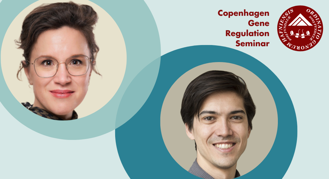 Copenhagen Gene Regulation Seminar - 3 November