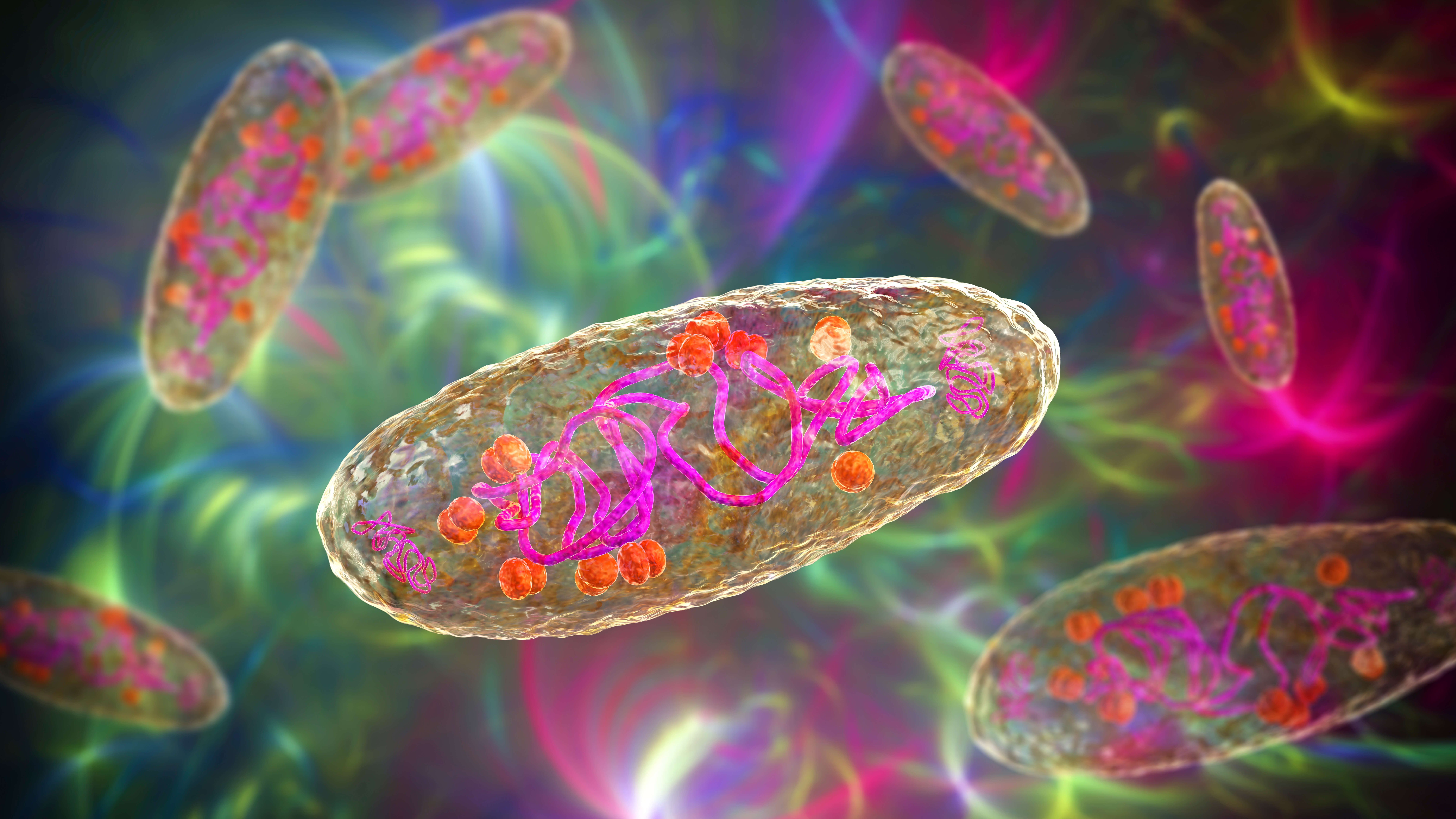 General depiction of bacteria carrying plasmids. Image credit: AdobeStock (stock.adobe.com), © Dr_Microbee (artist).