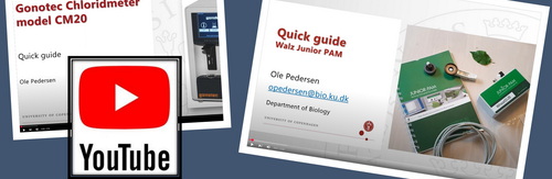 Video guides