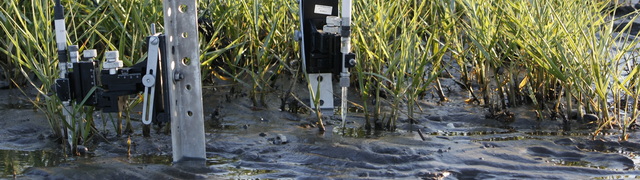 Field microsensors