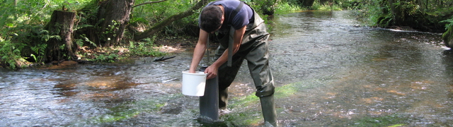 Fieldwork on Fieldbiology III