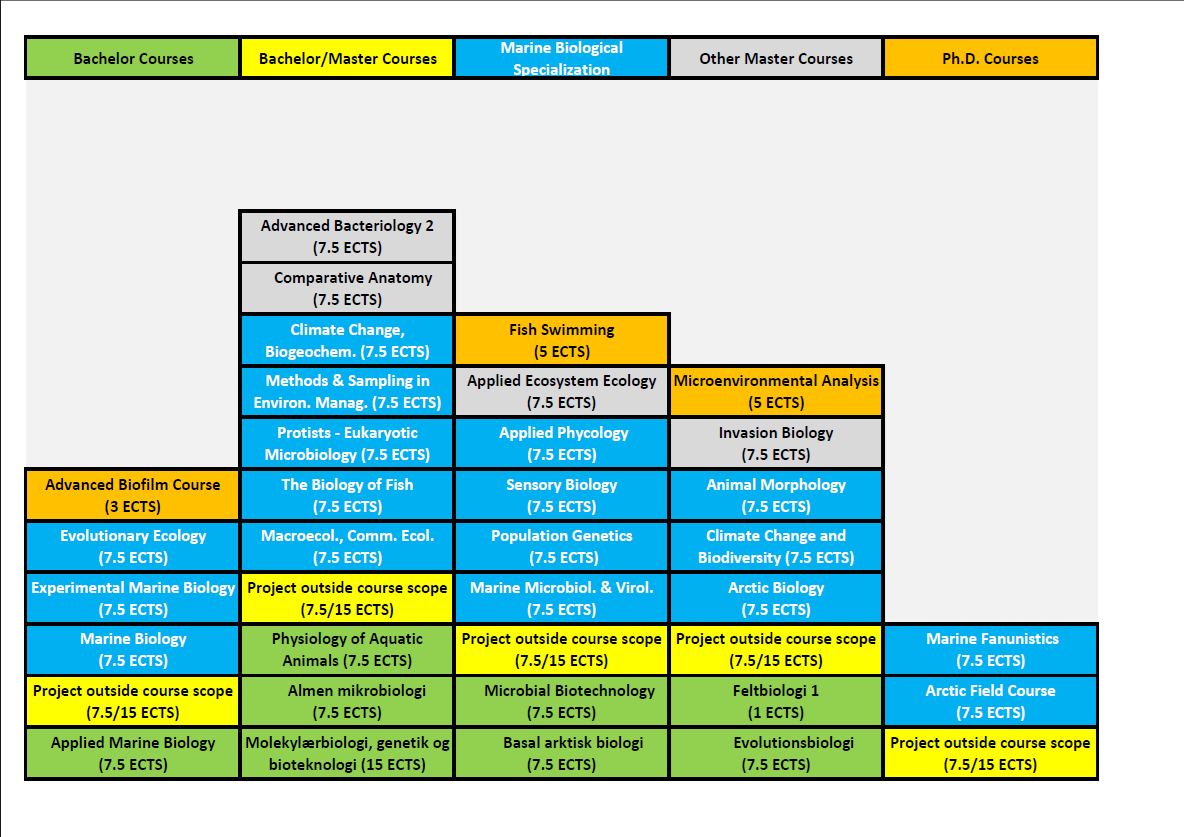 Course overview