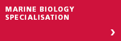 Marine Biology Specialisation courses