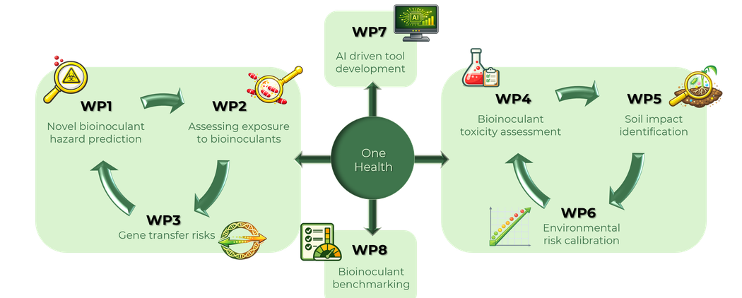 A flowchart showing eight work packages centered around One Health, illustrating research processes for bioinoculant safety, risk, and AI development.