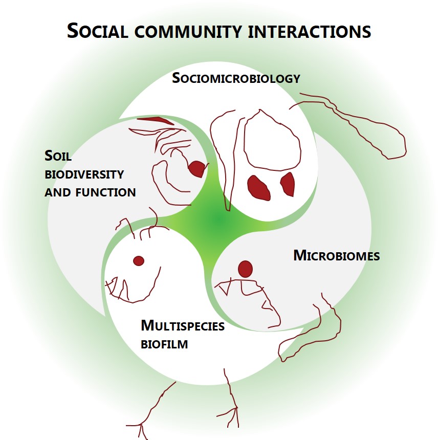 Social community interactions