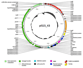 Genetic map of the conjugative plasmid pISI5-43.