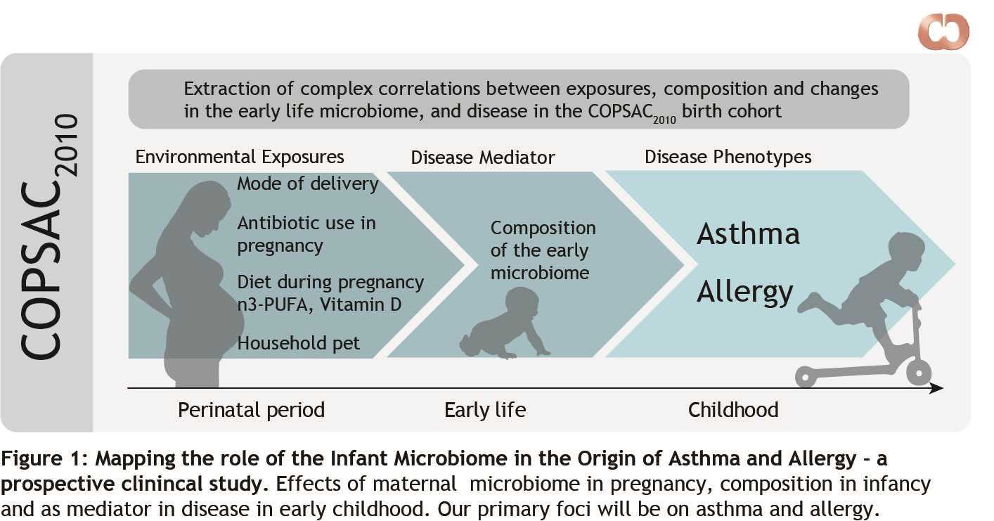 The Human Microbiome