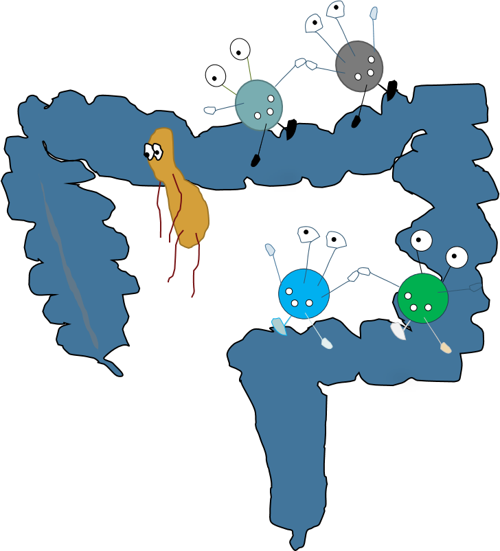 Gut microbiome