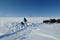 Research in Arctic