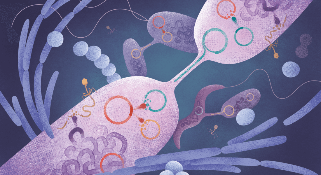 Bacteria shown in a graphic and artistic expression