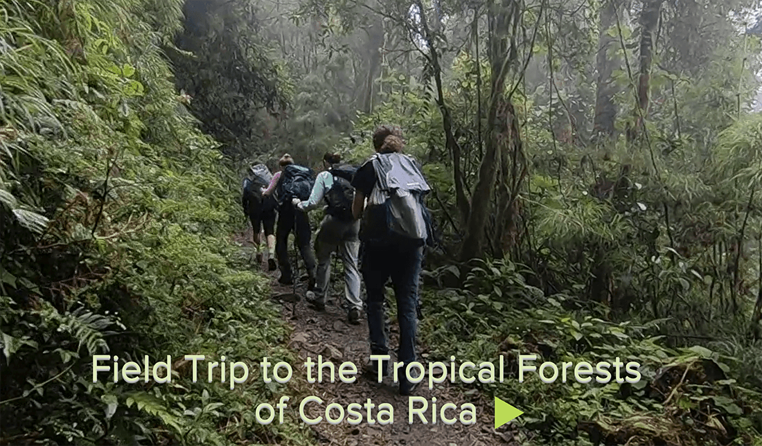Field trip to Costa Rica