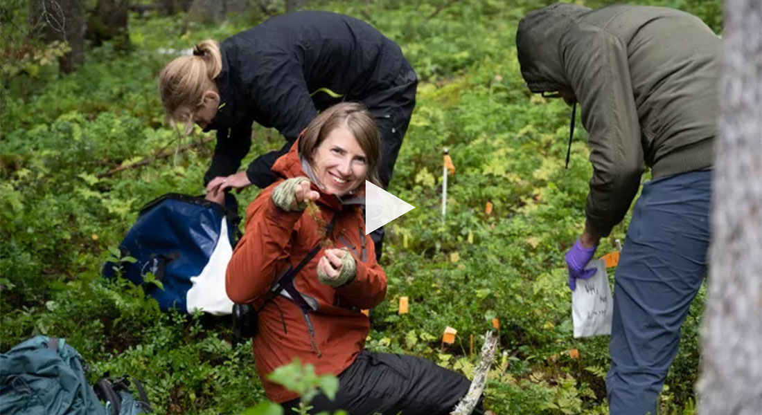 Field trip to Northern Sweden