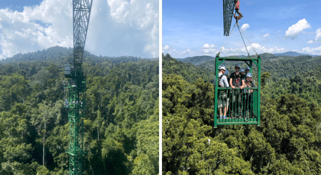 Canopy Crane at Xishuangbanna, southwest of China