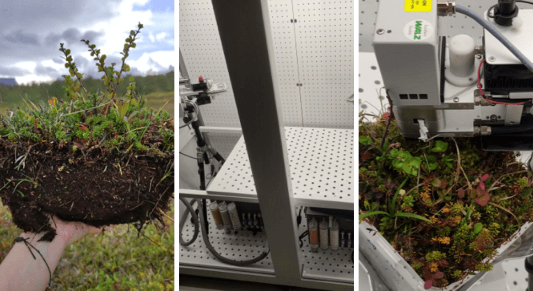 Collected mesocosms from the Arctic