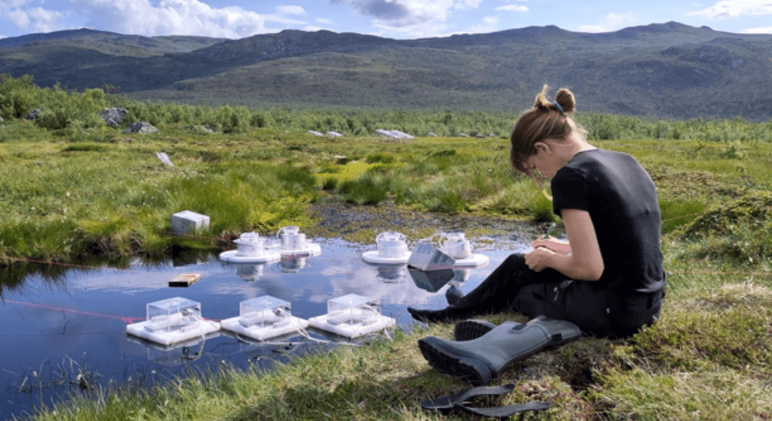 A person sits by a pond in a grassy meadow, surrounded by scientific equipment floating on the water.