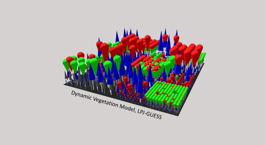 3D vegetation model with blue cones and red, green shapes on a grid.