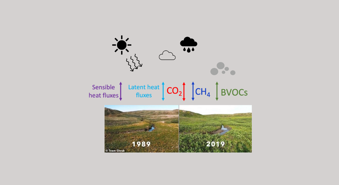 Split-image showing landscape changes from 1989 to 2019. The top features icons of sun, cloud, and rain with labeled fluxes: sensible, latent heat, CO2, CH4, BVOCs.