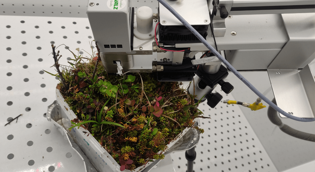 A robotic arm hovers over a planter containing diverse, lush green and red plants.