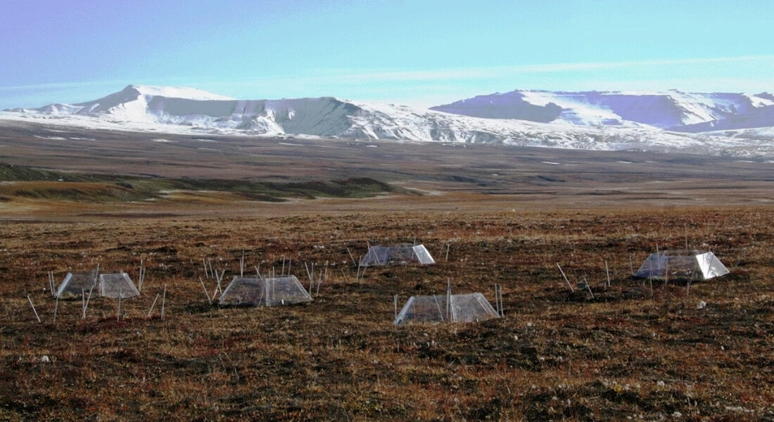 Clear domes on a barren tundra with scattered brown vegetation, set against distant snow-capped mountains under a bright blue sky, evoke isolation.