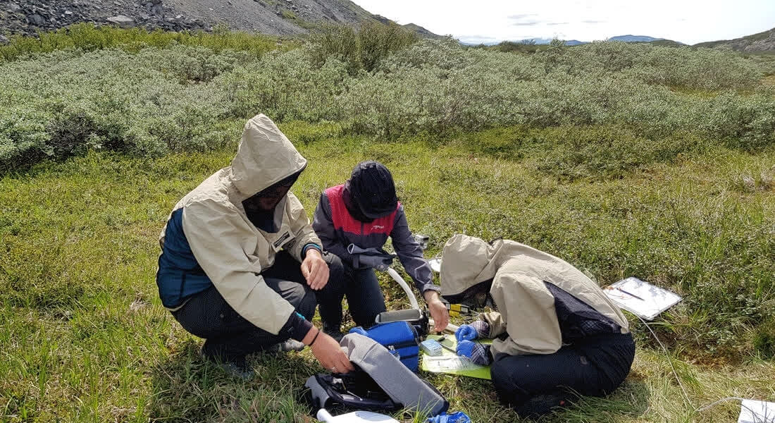 Three researchers conduct fieldwork in a lush green landscape, examining equipment and samples, conveying focus and collaboration.