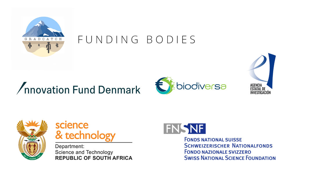 Logos of funding bodies