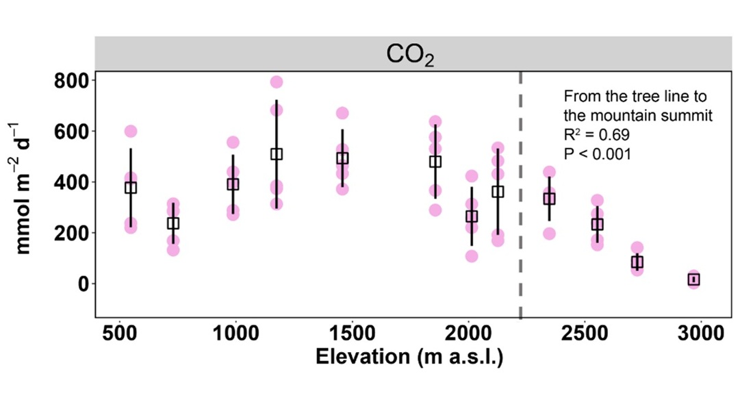 CO2 flux across an elevation gradient in the Swiss Alps peaked at mid-elevation and decreased markedly above the tree line. From Han et al. 2024