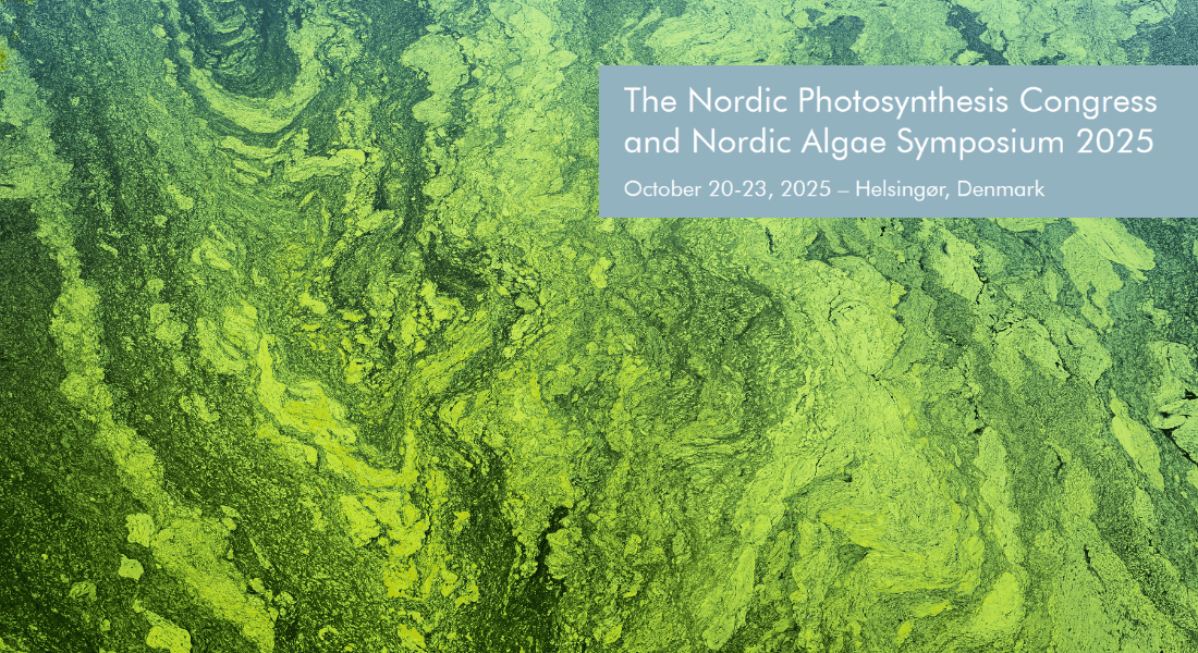 Algaes and conference logo