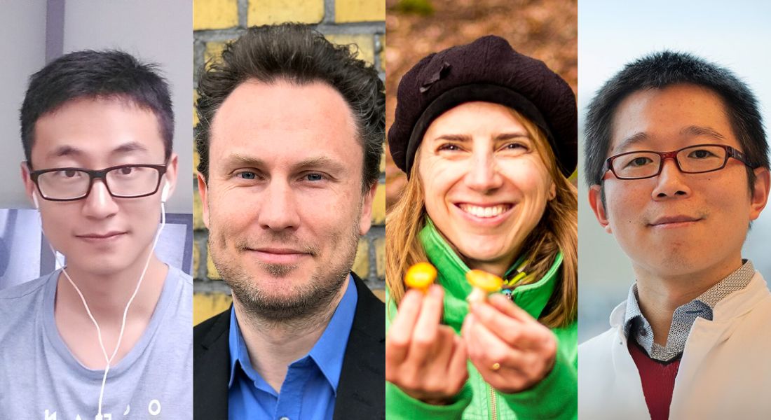 Fra venstre ses postdoc Nan Yang, professor Albin Sandelin, lektor Kathrin Rousk og lektor Yong Zhan. 