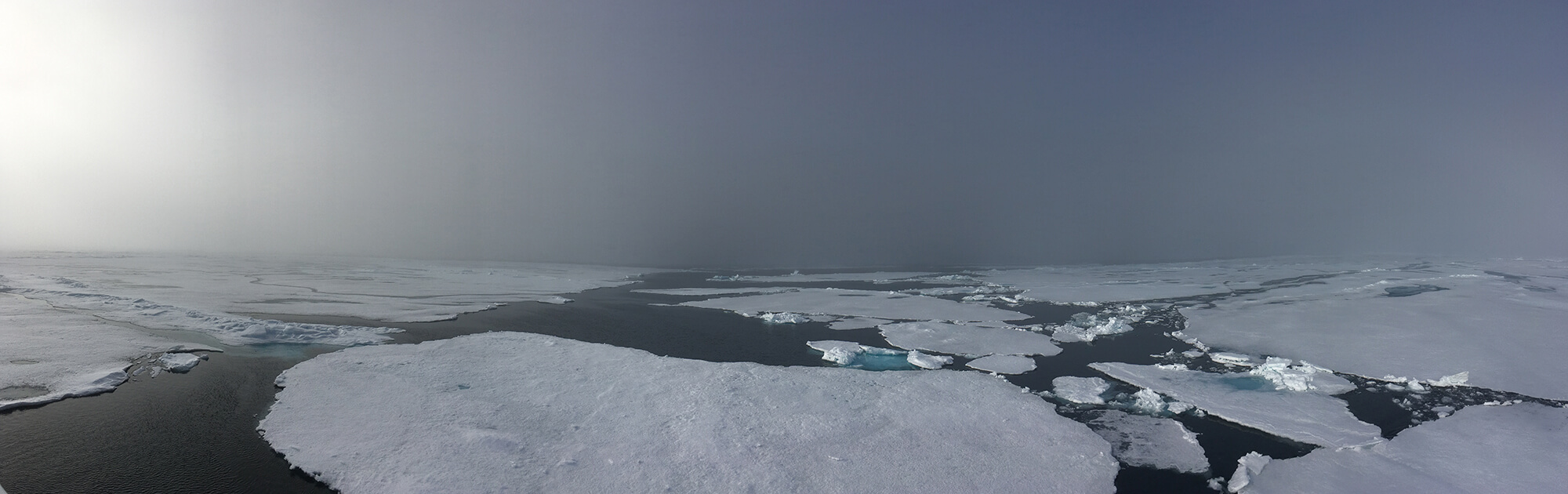 Arctic View