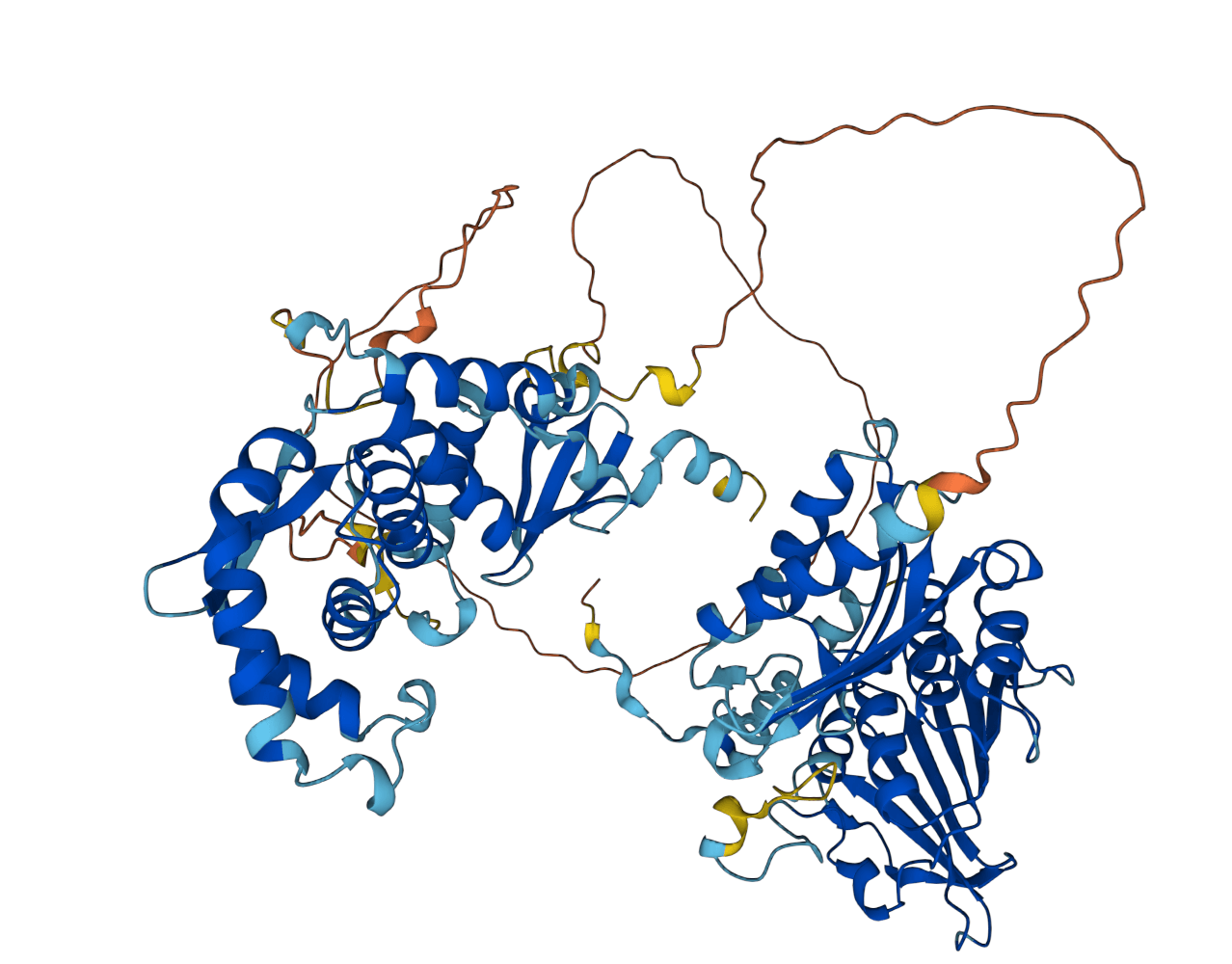 Struktur af mismatch protein