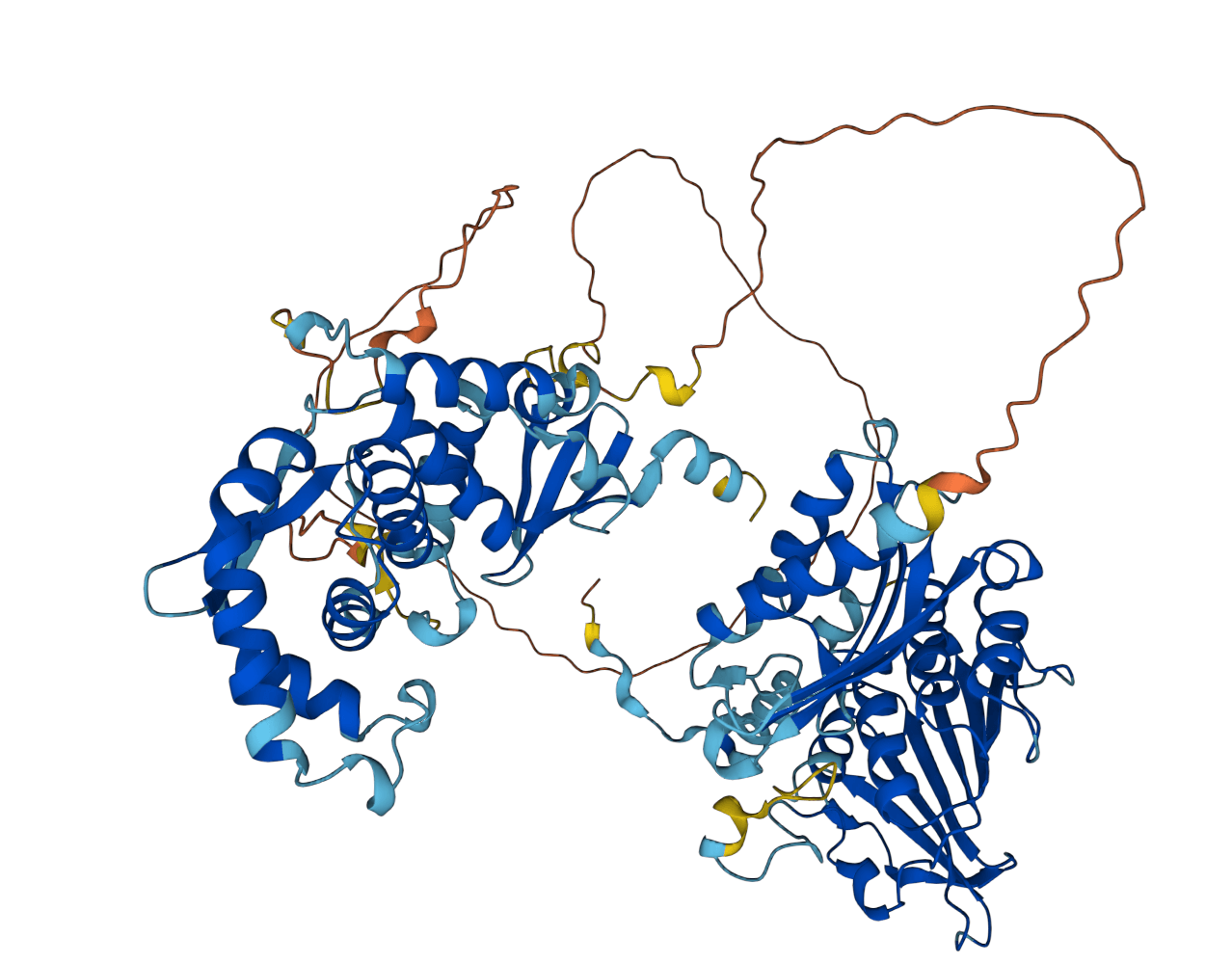 Struktur af protein